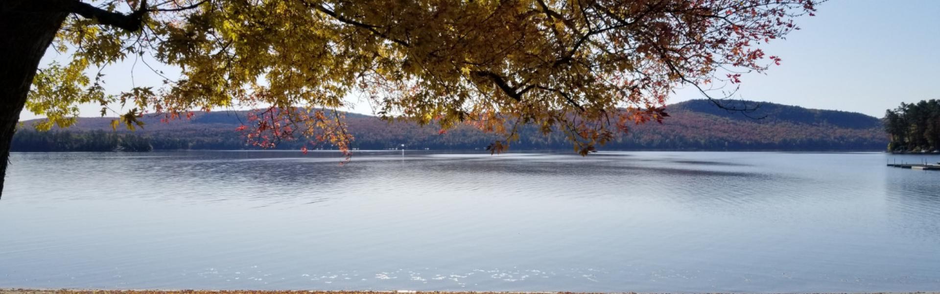 Kish Duna Motel Amp Cottages Schroonlakechamber Org