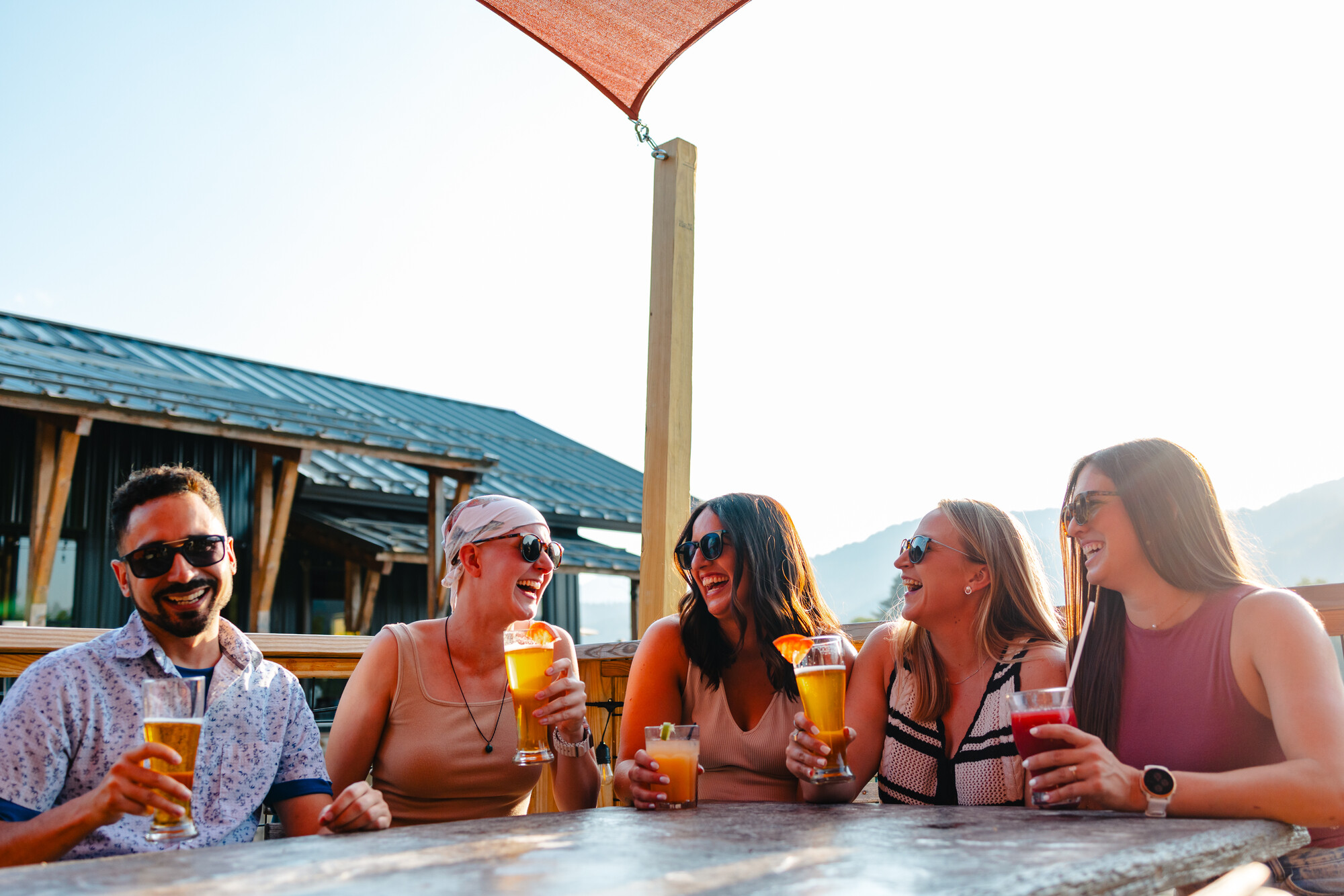 a group of people cheersing at Paradox Brewery